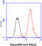 Arginase 2 antibody, GTX57645, GeneTex, Flow Cytometry image 