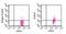 Toll Like Receptor 10 antibody, NBP2-27214, Novus Biologicals, Flow Cytometry image 