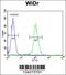 Protein BEX1 antibody, 55-352, ProSci, Flow Cytometry image 