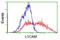 L1 Cell Adhesion Molecule antibody, LS-C115466, Lifespan Biosciences, Flow Cytometry image 