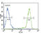 Neurotrophic Receptor Tyrosine Kinase 1 antibody, 63-141, ProSci, Flow Cytometry image 