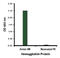 Influenza A HA antibody, LS-C19633, Lifespan Biosciences, Enzyme Linked Immunosorbent Assay image 