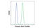 Signal Transducer And Activator Of Transcription 2 antibody, 88410S, Cell Signaling Technology, Flow Cytometry image 