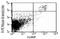 Lymphocyte antigen 6B antibody, CL050F, Origene, Flow Cytometry image 