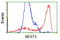 Bestrophin 3 antibody, TA501826, Origene, Flow Cytometry image 