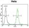 RNA Polymerase I Subunit B antibody, abx026850, Abbexa, Flow Cytometry image 