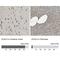 Acyl-CoA Synthetase Long Chain Family Member 4 antibody, NBP1-90258, Novus Biologicals, Immunohistochemistry paraffin image 
