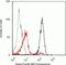 Cullin 2 antibody, 700179, Invitrogen Antibodies, Flow Cytometry image 