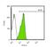 POU Class 5 Homeobox 1 antibody, NBP2-15051, Novus Biologicals, Flow Cytometry image 