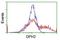 Diphthamide Biosynthesis 2 antibody, NBP2-46475, Novus Biologicals, Flow Cytometry image 