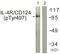 Interleukin 4 Receptor antibody, LS-C199115, Lifespan Biosciences, Western Blot image 