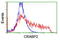 Cellular Retinoic Acid Binding Protein 2 antibody, LS-C175117, Lifespan Biosciences, Flow Cytometry image 