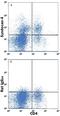 Syndecan 4 antibody, FAB29181A, R&D Systems, Flow Cytometry image 