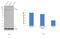 Valosin Containing Protein antibody, PA5-22257, Invitrogen Antibodies, Western Blot image 