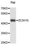 Zinc Finger CCCH-Type Containing 10 antibody, LS-C748780, Lifespan Biosciences, Western Blot image 
