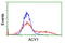 Aminoacylase 1 antibody, LS-C173144, Lifespan Biosciences, Flow Cytometry image 