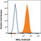 C-Type Lectin Domain Family 12 Member A antibody, MA5-24312, Invitrogen Antibodies, Flow Cytometry image 