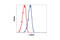 Beta-Actin antibody, 4970P, Cell Signaling Technology, Flow Cytometry image 