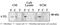 Transglutaminase 2 antibody, ab421, Abcam, Western Blot image 