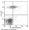 Cytotoxic and regulatory T-cell molecule antibody, 11975-MM12-P, Sino Biological, Flow Cytometry image 