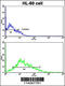 Lin-28 Homolog B antibody, 58-046, ProSci, Flow Cytometry image 