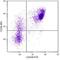 CD38 Molecule antibody, NBP1-27955, Novus Biologicals, Flow Cytometry image 