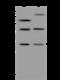 Transmembrane Protein 38B antibody, 204277-T36, Sino Biological, Western Blot image 