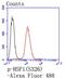 Heat Shock Transcription Factor 1 antibody, NBP2-67455, Novus Biologicals, Flow Cytometry image 