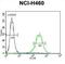 Glutamyl Aminopeptidase antibody, abx026596, Abbexa, Flow Cytometry image 