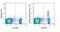 CD25 antibody, GTX01472-06, GeneTex, Flow Cytometry image 