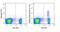 CD25 antibody, GTX01472-06, GeneTex, Flow Cytometry image 