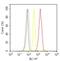 Nitric Oxide Synthase 1 antibody, 37-2800, Invitrogen Antibodies, Flow Cytometry image 