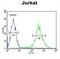 Transmembrane Protein 173 antibody, abx034525, Abbexa, Flow Cytometry image 