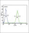 Serpin Family A Member 7 antibody, 62-422, ProSci, Flow Cytometry image 