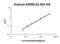 Arylsulfatase B antibody, EK2078, Boster Biological Technology, Enzyme Linked Immunosorbent Assay image 