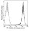 CD209 Molecule antibody, 10200-R037-P, Sino Biological, Flow Cytometry image 