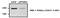 Phosphatidylinositol 4-Kinase Alpha antibody, 12411-1-AP, Proteintech Group, Western Blot image 