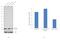 Cyclin-dependent kinase inhibitor 2A, isoforms 1/2/3 antibody, MA5-17054, Invitrogen Antibodies, Western Blot image 