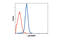 Mitogen-Activated Protein Kinase 12 antibody, 9212L, Cell Signaling Technology, Flow Cytometry image 