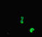 Phosphatidylethanolamine Binding Protein 1 antibody, CSB-PA017766HA01HU, Cusabio, Immunofluorescence image 