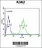 POU Class 5 Homeobox 1B antibody, 55-446, ProSci, Flow Cytometry image 
