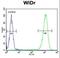 Tetraspanin 33 antibody, LS-C160268, Lifespan Biosciences, Flow Cytometry image 