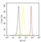 ABL Proto-Oncogene 1, Non-Receptor Tyrosine Kinase antibody, 44-252G, Invitrogen Antibodies, Flow Cytometry image 