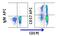 Beta-1,3-Glucuronyltransferase 1 antibody, FC09548-APC, Boster Biological Technology, Flow Cytometry image 