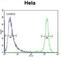 Developmentally-regulated GTP-binding protein 1 antibody, abx026922, Abbexa, Western Blot image 