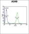 Intraflagellar Transport 43 antibody, orb35667, Biorbyt, Flow Cytometry image 