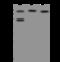 DnaJ Heat Shock Protein Family (Hsp40) Member C2 antibody, 206184-T40, Sino Biological, Western Blot image 