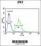 CCAAT Enhancer Binding Protein Beta antibody, 62-483, ProSci, Flow Cytometry image 