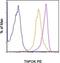 Zinc Finger And BTB Domain Containing 7B antibody, 12-5928-82, Invitrogen Antibodies, Flow Cytometry image 