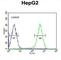 Ataxin 2 Like antibody, abx032434, Abbexa, Western Blot image 